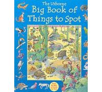 The Usborne Big Book of Things to Spot