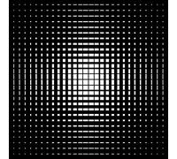 The Vacant Lots - Closure