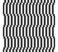 The Vacant Lots Endless Night (CD) Album