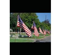 The Valley Of Shadows