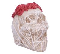 The Veil Skull (Large) NUOVO