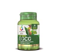 The Verde 60 Capsule Ecgc Colours