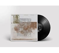 The Vernon Spring - What's Going On