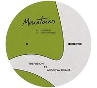 The Vision - FAMILY DEFECTED Mountains