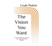 The Vision You Want: A Solo Interactive Journey for Clarifying What Matters