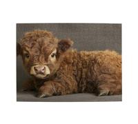 The Vitf Is Lying Prone. Puzzle in legno da 500 pezzi per adulti impegnativo puzzle per gioco dimensioni 38 x 50 cm