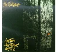 The Walkabouts - Setting the Woods on Fire