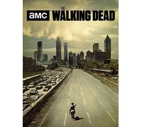 The Walking Dead Road Stampa su Tela, Multicolore, 60 x 80 cm