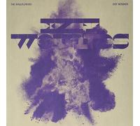 The Wallflowers Exit Wounds (Vinyl LP)