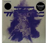 The Wallflowers Exit Wounds (Vinyl LP) 12" Album