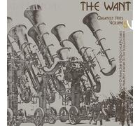 The Want Greatest Hits Volume 5 (Vinyl LP)