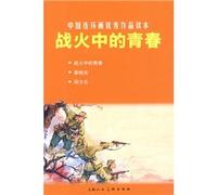 The War for Youth - China's Excellent Comic Books (Chinese Edition)