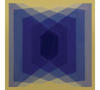 The Warlocks EXP (Experimental Burnout Music) (Vinyl LP)