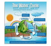 The Water Cycle Infographic Educational Canvas Wall Art Poster for Modern Home Office or Dorm Room(Unframed,12x18inch(30x45cm))