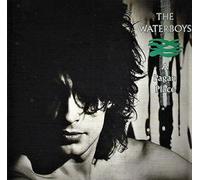 The Waterboys A Pagan Place (CD) Expanded Album