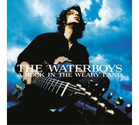 Waterboys The - A Rock In The Weary Land (Expanded Edition)