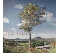 The Waterboys - All Souls Hill [Lp]