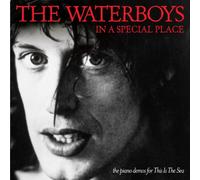 The Waterboys - In a Special Place:Piano Demos