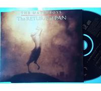 The Waterboys - RETURN OF PAN CD UK GEFFEN 1993