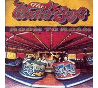 The Waterboys Room to Roam (CD) Album