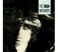 The Waterboys The Waterboys (Vinyl LP) 12" Album