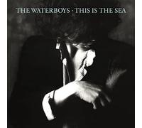 The Waterboys - This Is the Sea