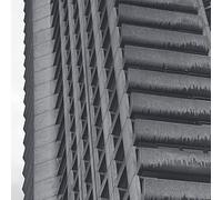 The Wedding Presen We Should Be Together/Don't Give Up Without a Figh (Vinyl LP)