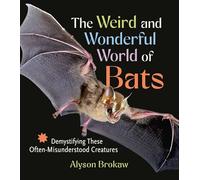 The Weird and Wonderful World of Bats: Demystifying These Often-misunderstood Creatures