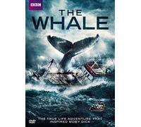The Whale