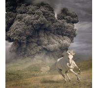 WHITE BUFFALO - Year Of The Dark Horse (2022) LP Vinyl pre-order