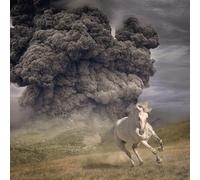 The White Buffalo Year of the Dark Horse (Vinyl LP) 12" Album Coloured Vinyl