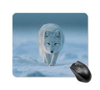 The White Fox Walks in The Snow Tappetini Mouse Soffice Mousepad Confortevole Tappetino per Mouse per Laptop Lavoro Ufficio 25X30Cm