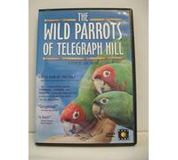 The Wild Parrots of Telegraph Hill