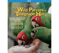 The Wild Parrots of Telegraph Hill (Blu-ray) Mark Bittner Judy Irving