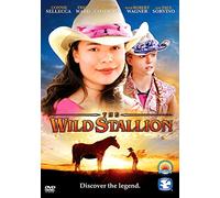 The Wild Stallion