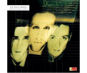 The Wild Swans - Bringing Home The Ashes