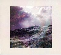 The Wild Wild - Into The Sea Into The Stars