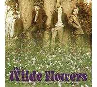 The Wilde Flowers (Clear Yellow Vinyl) - Wilde Flowers (The) (Vinile)