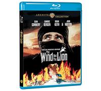 The Wind and the Lion