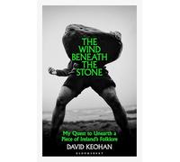 The Wind Beneath the Stone: My Quest to Unearth a Piece of Ireland's Folklore