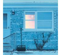 The Window