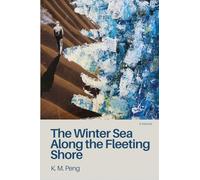 The Winter Sea Along the Fleeting Shore