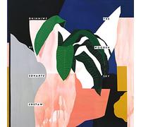 The Wooden Sky - Swimming in Strange Waters