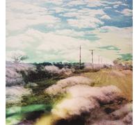 The World Is a Beautiful Place & I Am No Longer Afraid Always Foreign (Vinyl LP)