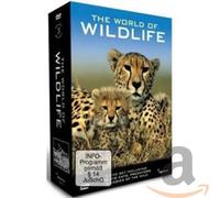 The World of Wildlife - the Big Cats [3 DVDs] [Edizione: Regno Unito]