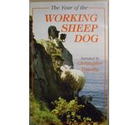 The Year of the Working Sheep Dog