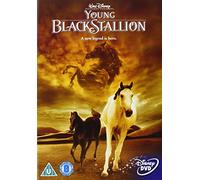 The Young Black Stallion [Edizione: Regno Unito]