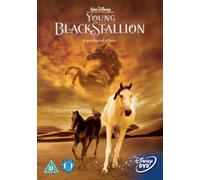 The Young Black Stallion (DVD) Eric Grucza Ali al Ameri Gerard Rudolf