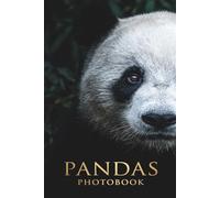 The Zen of Pandas: A Stunning Visual Journey Through the Bamboo Forests of China