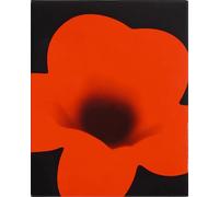 The Zone of Interest (Limited Edition) [4K Ultra HD]